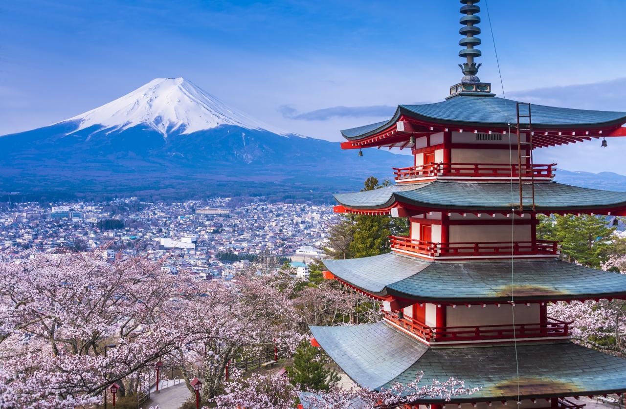 Japan Open To Tourists 2025 - Harry Wilkins