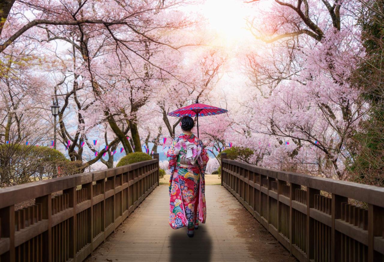 A rough guide to some of the best places to visit in Japan | KAYAK