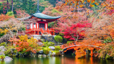 Temple Daigoji | Travel Japan - Office national du tourisme japonais (site officiel)