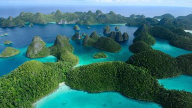 Wayag Islands in Raja Ampat | Papua Explorers Eco Resort