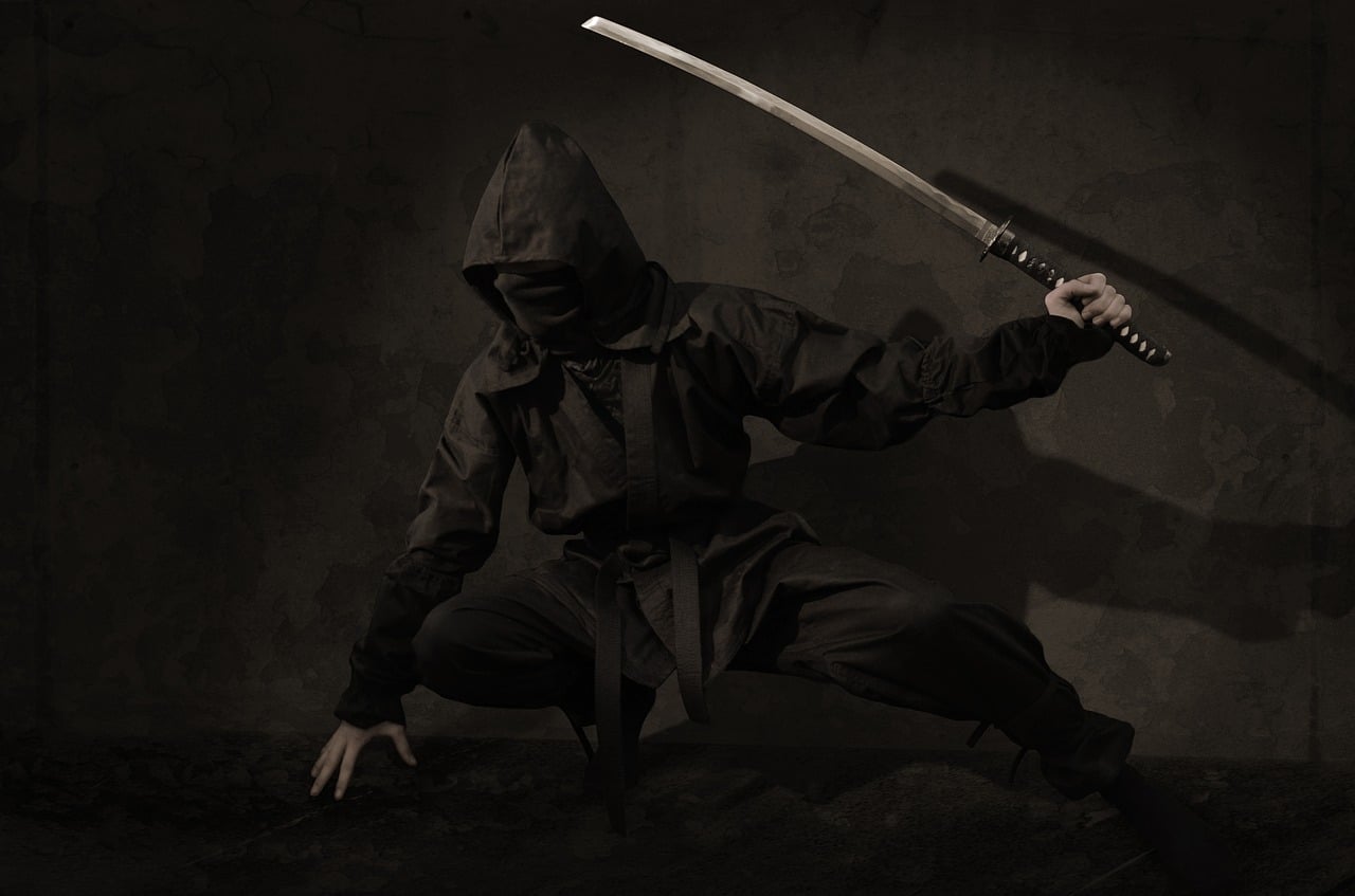 History's Most Notorious Ninja - Toptenz.net