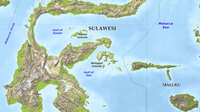 Blue Green Atlas - Free relief map of Indonesia - Sulawesi